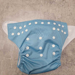 LBB - CLOTH DIAPER W/ INSERT